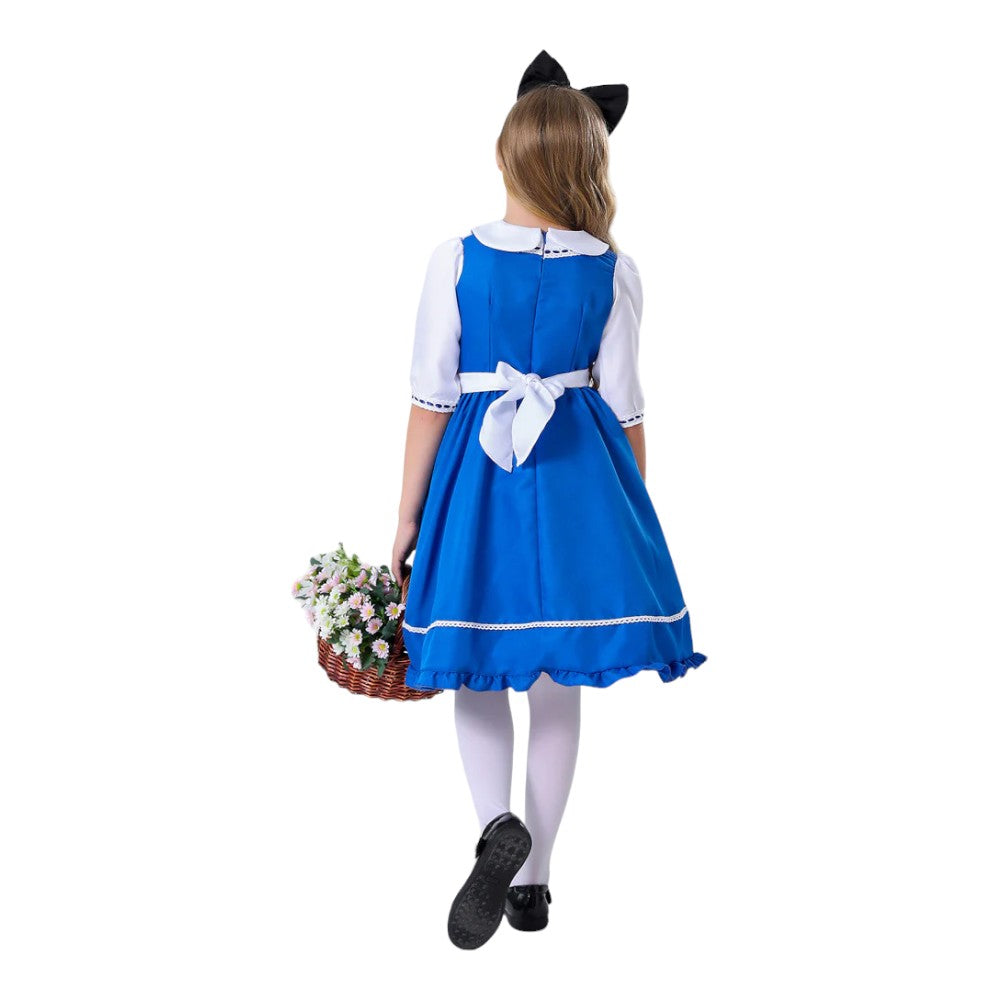 Alice In Wonderland Costume